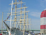 Barken Viking