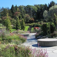 Botaniska Trädgården