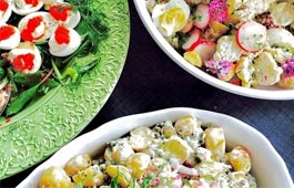 Boka Brunch i Göteborgs Skärgård