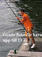 Gratis fisk