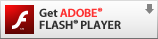 H&auml;mta Adobe Flash Player!