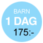 G�teborg City Card Barn 24 timmar