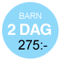 G�teborg City Card Barn 48 timmar