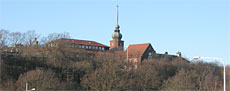 Naturhistoriskamuseet i G�teborg