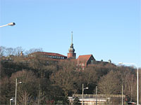 Naturhistoriska museet