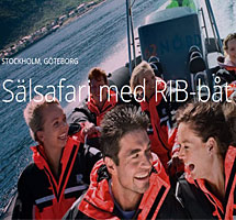 Sälsafari med RIB-båt