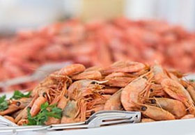 Shrimp and Salmon Cruise