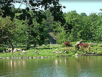 Slottskogen - Barnens Zoo