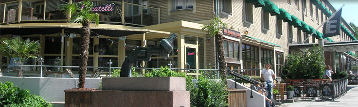 Hotell och vandrarhem i G�teborg.