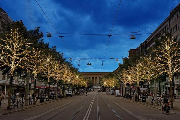 Träden på Avenyn kommer lysa under julstaden 2025