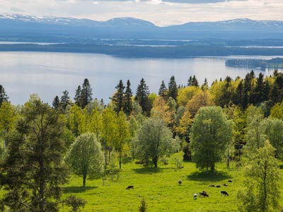 Besök Sverige sidan och boka aktiviteter