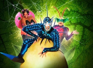 Köp Cirque du Soleil OVO biljetter