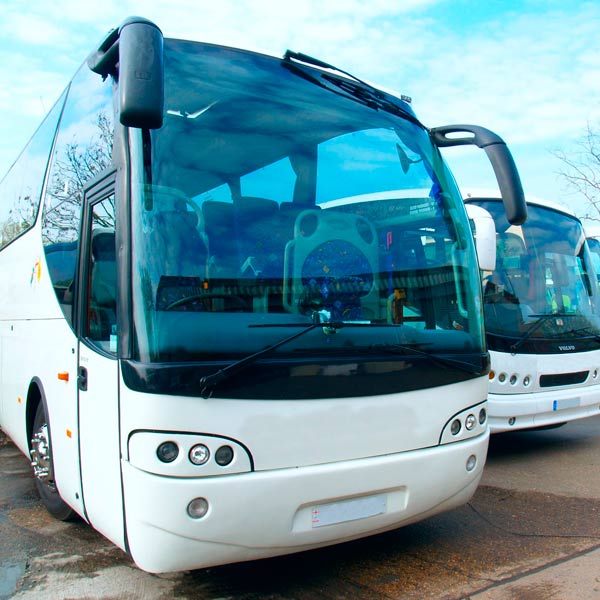 Bus transfer from Landvetter to Goteborg
