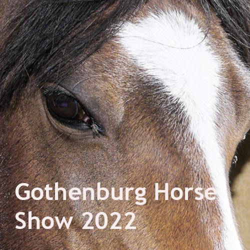Gotheburg Horse Show in Scandinavium 2022