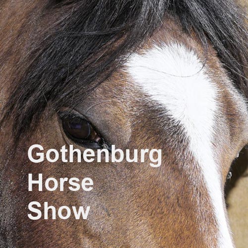 Gotheburg Horse Show in Scandinavium 2023