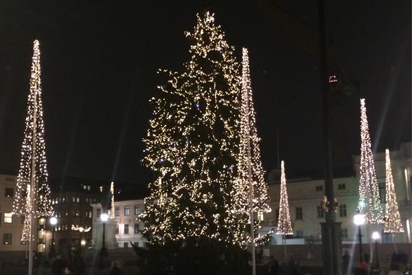 Julgranen på Gustav Adolfs Torg