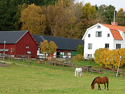 Kättilsröds 4H gård