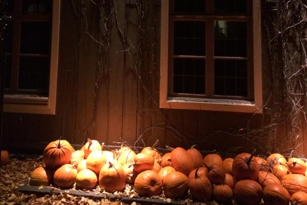 Halloween på Liseberg under höstlovet i Göteborg 2024