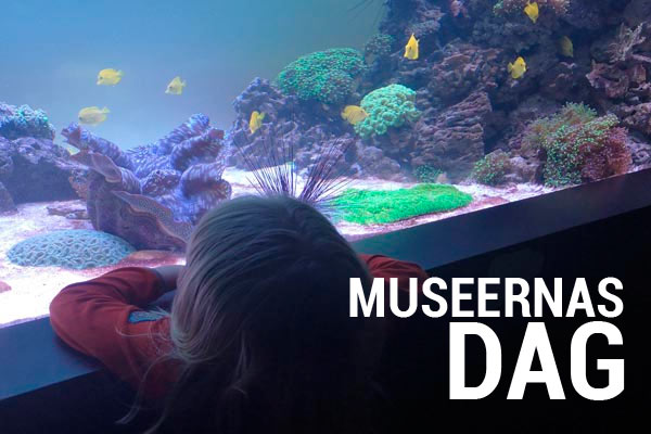 Museernas dag i Göteborg