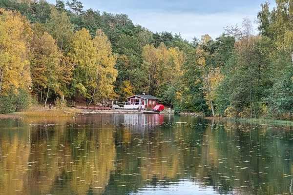 Våfflor i Slätta Damm, Hisingen, Göteborg 2022