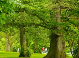 Slottskoge Göteborg