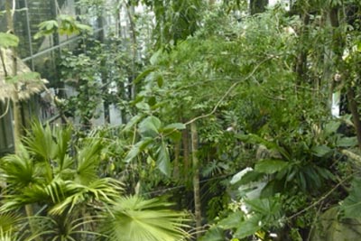 Universeum sportlovet i Göteborg