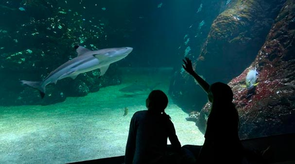 Free entrance to Universeum in Gothenburg