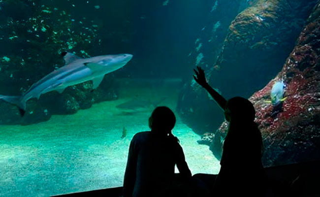 Universeum Göteborg