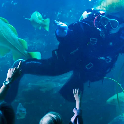 Boka Universeum hotellpaket i Göteborg