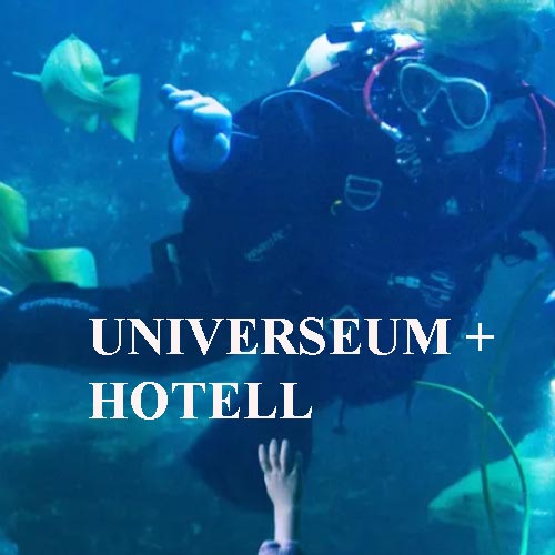 Köp Hotellpaket till Universeum i Göteborg