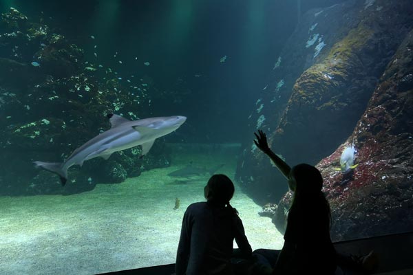 Jullovet på Universeum Göteborg