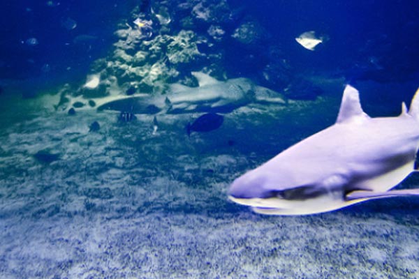 Universeum Påsklovet i Göteborg