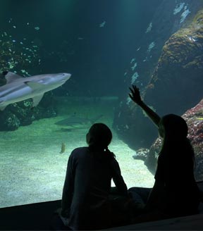 Universeum höstaktivitet i Göteborg