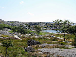 Vargö Södra Skärgården