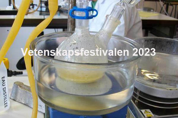 Vetenskapsfestivalen 2023 i Göteborg