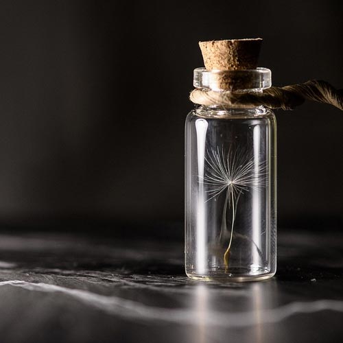 Vetenskapsfestivalen i Göteborg